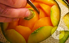 Cantaloupe Melon