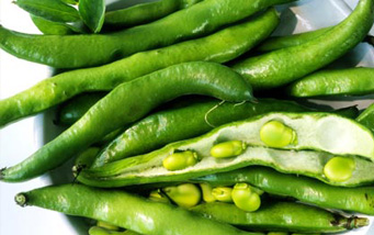 broad-beans