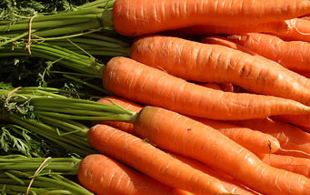 carrots