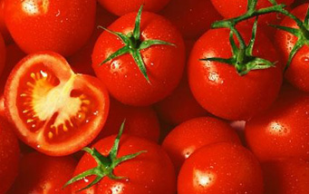 tomatoes